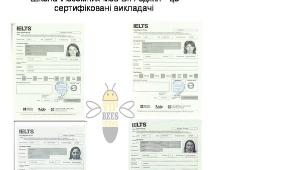 Школа іноземних мов ВІП бджіл – це сертифіковані викладачі!